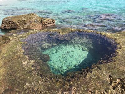 世界自然遺産登録になった奄美大島をちょっとだけ観光！