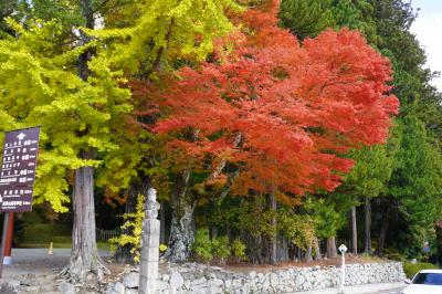 関空から高野山へ　1日目。紅葉の高野山でした。