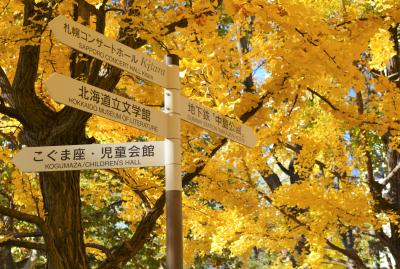 人生変えちゃう石かもね♪2021晩秋*.札幌*紅葉＆芸術散歩*･･って、紅葉は終わってましたけどー。