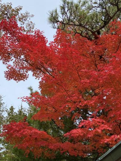 紅葉の高野山