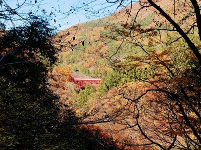 みんな大好き紅葉の松川渓谷ハイキング