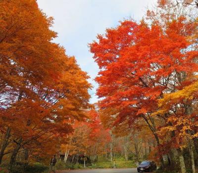 団塊夫婦の日本紅葉巡りドライブ・２０２1ー（１）新穂高温泉に立ち寄って高山へ