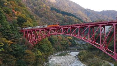 錦繡の黒部峡谷37年ぶりのトロッコ電車乗車　富山県民バリューパックでお得に楽しむ　その１