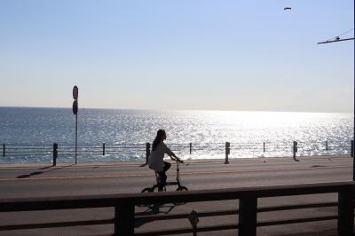 １１月の鎌倉 江ノ電に乗って②☆長谷寺特別参拝御足参り・成就院・鎌倉高校前駅☆海光庵☆2021/11/05