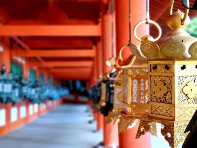 お久しぶりです、奈良の御仏様！　　神社仏閣お散歩巡り