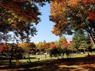 長野市の都市公園「若里公園」の紅葉