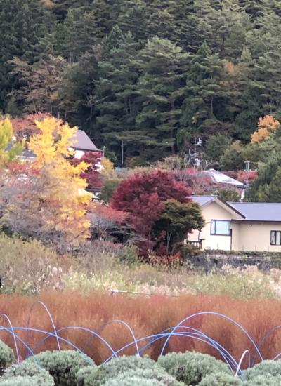 紅葉まつりの河口湖から中部横断自動車道