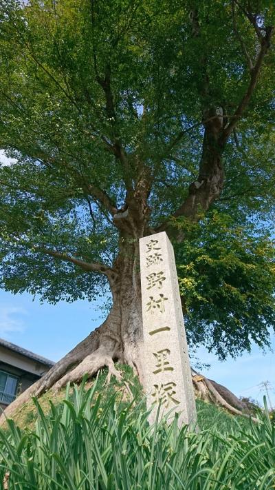 ⑦東海道五十三次　京から江戸へ（関宿～亀山宿～庄野宿）