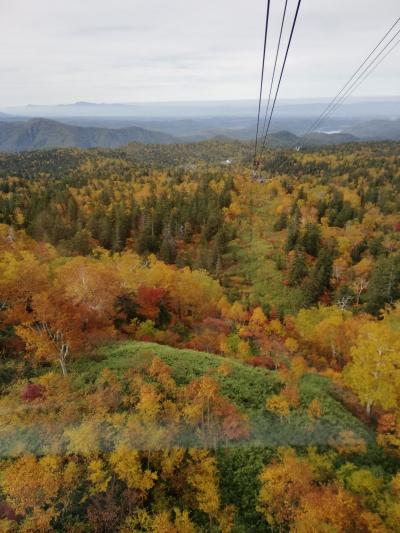 日本で一番早い紅葉、旭岳、十勝岳