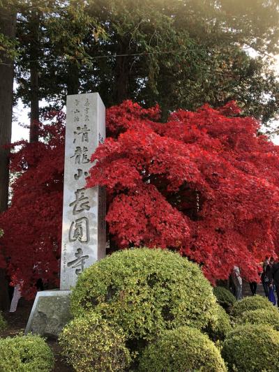 長円寺の紅葉