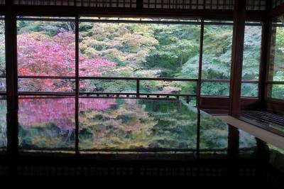 秋の京都・大阪（４）瑠璃光院