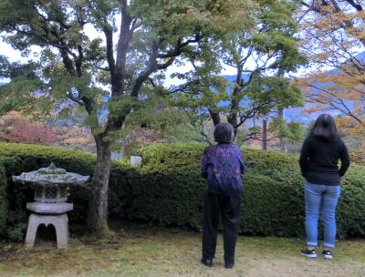 86歳の母を連れて箱根へ。その2　東急ハーヴェストクラブ明神平でリゾートライフを満喫。
