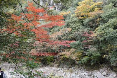 紅葉の長門峡　日帰りドライブ