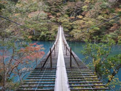 ２０２１年１１月 山梨・諏訪湖・寸又峡 その３ 寸又峡・夢のつり橋・奥大井湖上駅