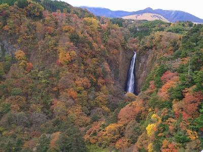 九重で紅葉狩りをして筋湯温泉に泊まりに行く～くじゅう夢大吊橋の絶景～