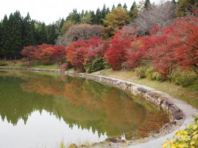 ２０２１　秋の味覚を求めて,のんびりドライブ♪～高野町＆ちょっぴり紅葉狩り～