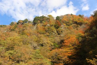 今年初めての紅葉狩り　奥秩父の中津川渓谷へ