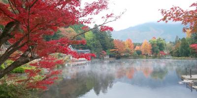 紅葉バッチリ！湯布院