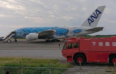 ANA FLYING HONUチャーターフライトで行く下地島の旅