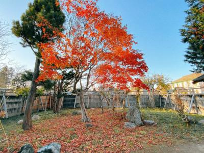 ちょっと札幌へ 2021年冬の手前
