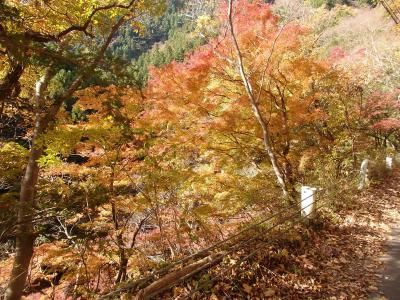 奥多摩むかし道　紅葉を求めて