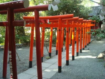 熱海駅から来宮神社まで一人でブラブラする旅。