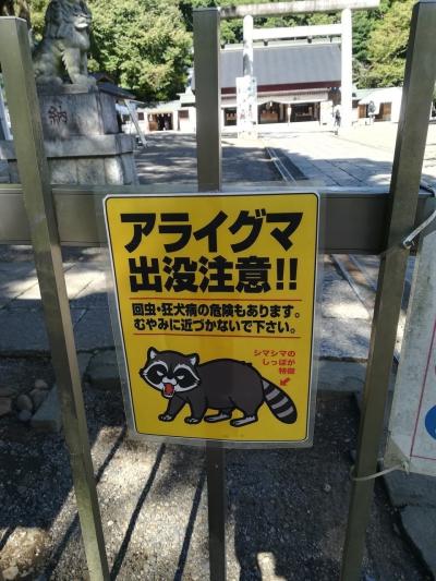 アライグマ出没注意!？水戸散歩