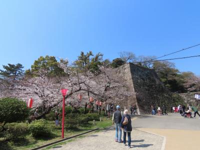 和歌山城 本丸(Inner Citadel, Wakayama Castel, Wakayama, Japan)