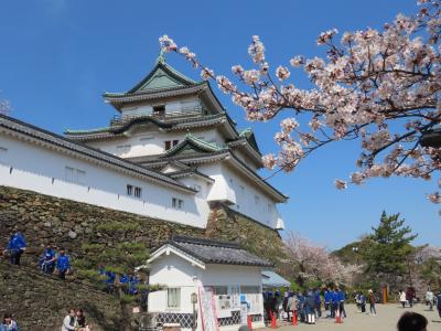 和歌山 和歌山城 天守(Castle Tower, Wakayama Castel, Wakayama, Japan)