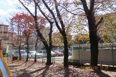 秋らしくなった西鶴ケ岡公園の風景