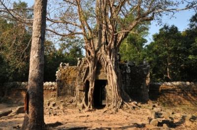 2014年カンボジア旅行記　第8回　大回りコースの遺跡、ニャック・ポアンとタ・ソムを見学