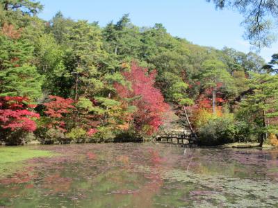 紅葉の神戸市立森林植物園