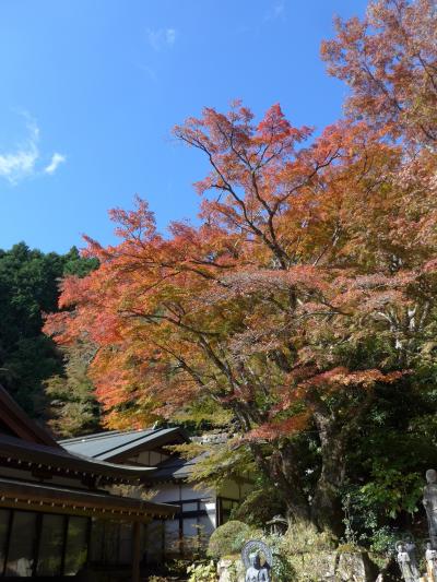 国東半島・両子寺の紅葉を見てきました(11/7) !!今週末頃(11/13～)からが見頃でしょう　(^0^)