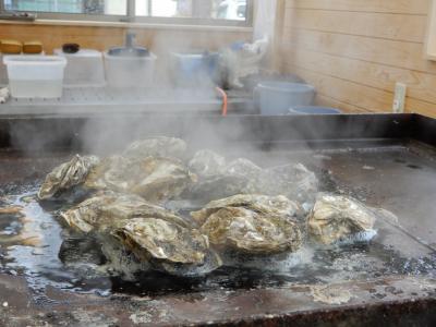 松島に来たらやっぱり牡蠣ですね♪ 実は牛タンも♪「赤間の牛タンは間違いない」by地元の方の声