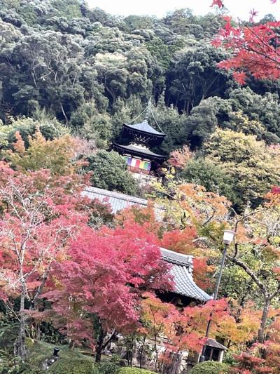 京都蹴上てくてく旅行！…南禅寺、永観堂を訪れて…前半ひとり旅編！