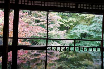 20211112-2 京都 紅葉の季節に大人気の瑠璃光院、予約して行ってみる…ちと早かったかな？