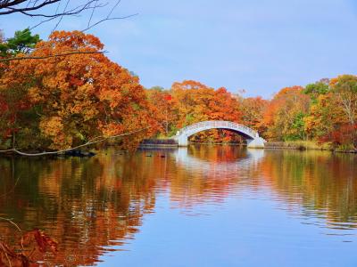 26年ぶりの道南（３）　紅葉が始まっていた大沼公園が綺麗だった (2021年10月)