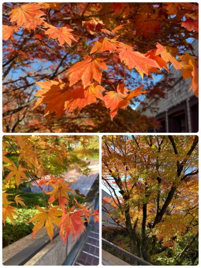 仙台で秋散歩