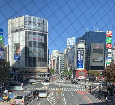 ルブランを探して part2 (ペルソナ5聖地とNintendo東京と日暮里とetc.)