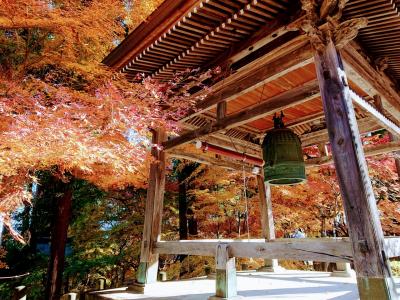 善光寺の裏庭「地附山」紅葉トレッキングと「昌禅寺」の紅葉