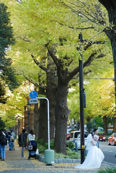 ぶらり横浜日本大通りから横浜紅葉街歩き、夜は高校マブと久々一杯編