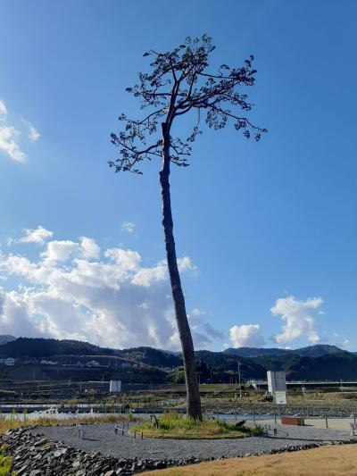 11月初旬　雪が降る前に東北観光　~震災からの復興に向かう陸前海岸～