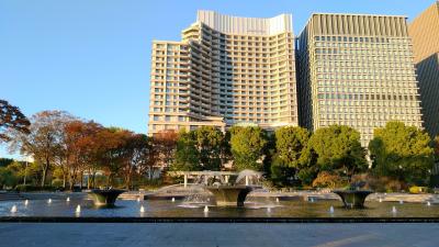 紅葉の東京駅周辺