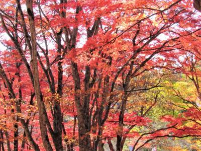 2021年11月福島県会津「土津神社の紅葉」産業遺産十六橋の紅葉を見てきました。