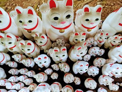 夫のプランに付き合ってあげた週末_世田谷史跡をめぐる編