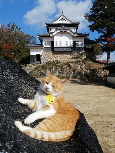 ’２１ 岡山100名城＆グルメ旅１１　備中松山城②（本丸～天守～猫城主のさんじゅーろー）