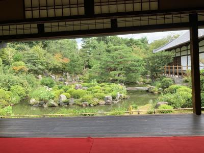 京都さんぽ　　足利氏菩提寺の等持院へ～足利市歴代将軍の像に圧倒されます。