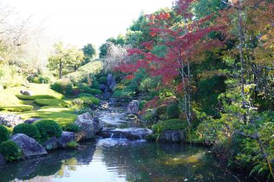 紅葉色づきはじめの京都さんぽ～退蔵院・泉涌寺七福神