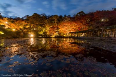 微妙な色づきだった霞ヶ城公園の紅葉&二本松神社