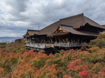 京都散策